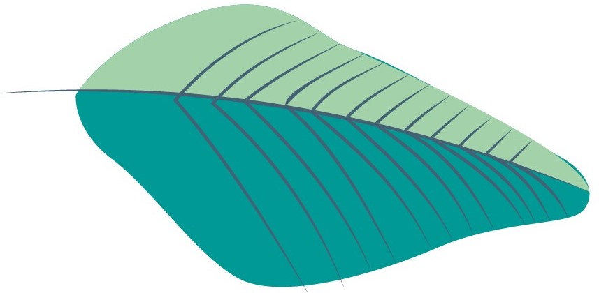 green leaf image